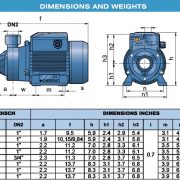 Pedrollo PKH-05A16S (PKm 70), 1/2 HP, 115 Volt, Single Phase Turbine Pump