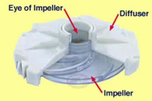 HOW TO CLEAN A FOUNTAIN PUMP IMPELLER 