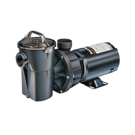 Hayward power flo lx cheap pump